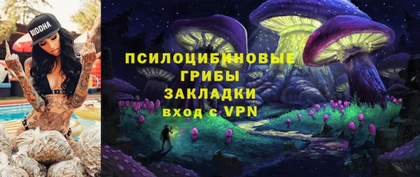 СК Абаза