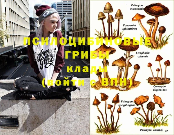 дживик Абинск