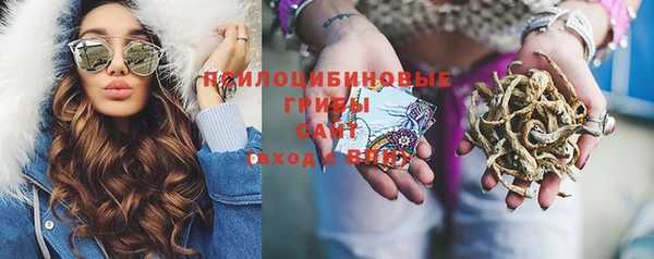 дживик Абинск